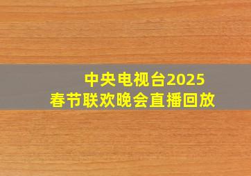 中央电视台2025春节联欢晚会直播回放