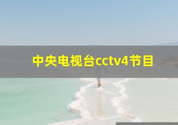 中央电视台cctv4节目