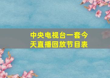 中央电视台一套今天直播回放节目表