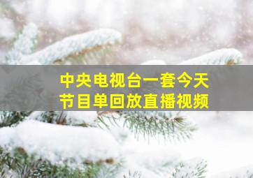 中央电视台一套今天节目单回放直播视频