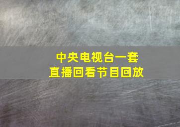 中央电视台一套直播回看节目回放