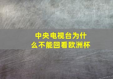 中央电视台为什么不能回看欧洲杯