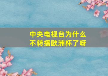 中央电视台为什么不转播欧洲杯了呀