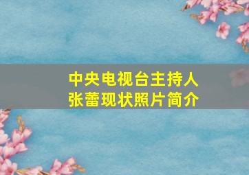 中央电视台主持人张蕾现状照片简介