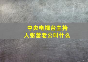 中央电视台主持人张蕾老公叫什么