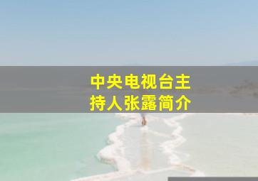 中央电视台主持人张露简介