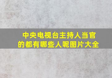 中央电视台主持人当官的都有哪些人呢图片大全