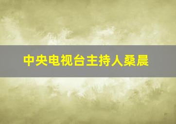 中央电视台主持人桑晨