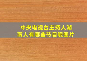 中央电视台主持人湖南人有哪些节目呢图片