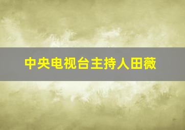 中央电视台主持人田薇