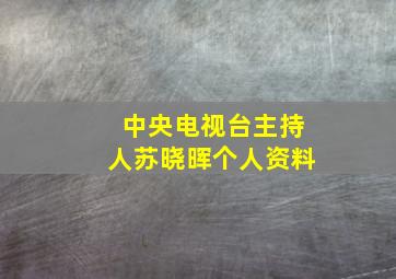 中央电视台主持人苏晓晖个人资料