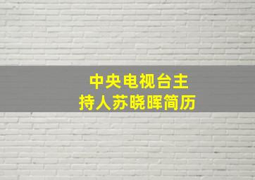 中央电视台主持人苏晓晖简历