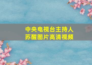 中央电视台主持人苏醒图片高清视频