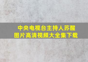 中央电视台主持人苏醒图片高清视频大全集下载