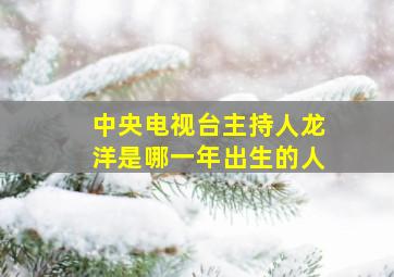 中央电视台主持人龙洋是哪一年出生的人