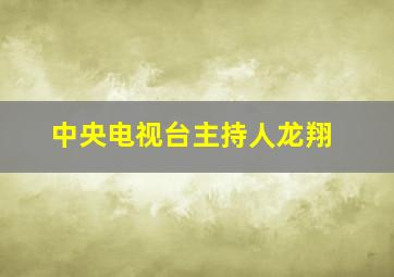 中央电视台主持人龙翔