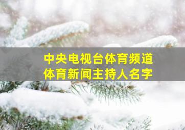 中央电视台体育频道体育新闻主持人名字