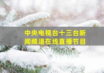 中央电视台十三台新闻频道在线直播节目