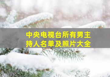 中央电视台所有男主持人名单及照片大全