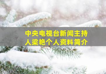 中央电视台新闻主持人梁艳个人资料简介