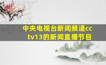 中央电视台新闻频道cctv13的新闻直播节目