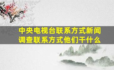 中央电视台联系方式新闻调查联系方式他们干什么