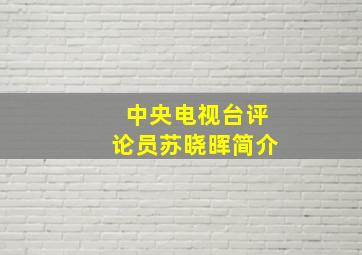 中央电视台评论员苏晓晖简介