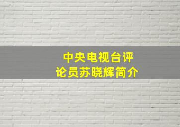 中央电视台评论员苏晓辉简介