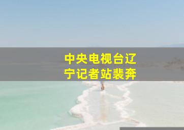 中央电视台辽宁记者站裴奔