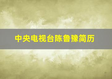 中央电视台陈鲁豫简历