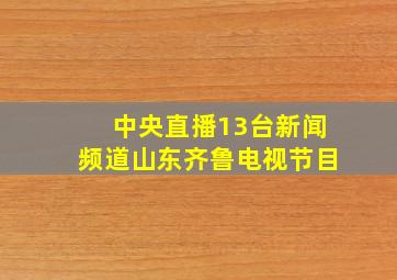 中央直播13台新闻频道山东齐鲁电视节目