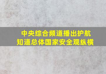 中央综合频道播出护航知道总体国家安全观纵横