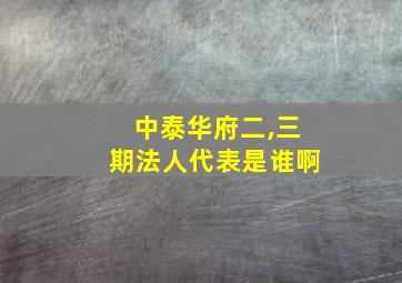 中泰华府二,三期法人代表是谁啊