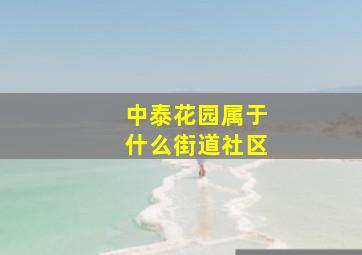 中泰花园属于什么街道社区