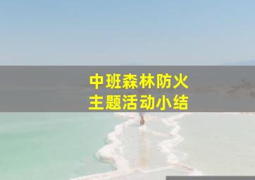 中班森林防火主题活动小结