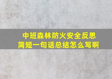 中班森林防火安全反思简短一句话总结怎么写啊