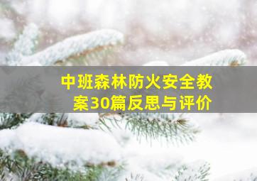 中班森林防火安全教案30篇反思与评价