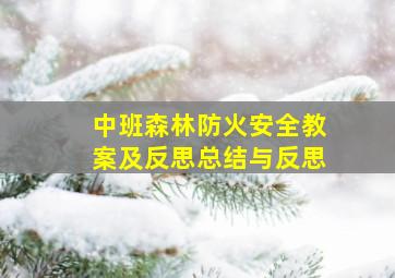 中班森林防火安全教案及反思总结与反思