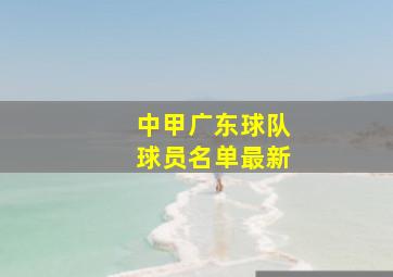 中甲广东球队球员名单最新