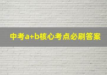 中考a+b核心考点必刷答案