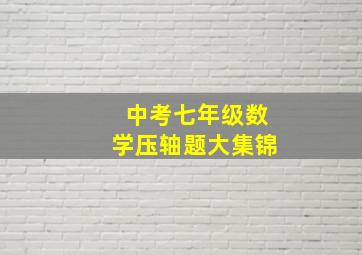 中考七年级数学压轴题大集锦