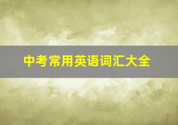 中考常用英语词汇大全