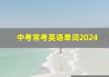 中考常考英语单词2024