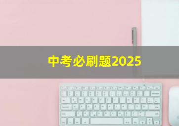 中考必刷题2025