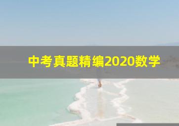 中考真题精编2020数学