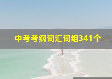 中考考纲词汇词组341个