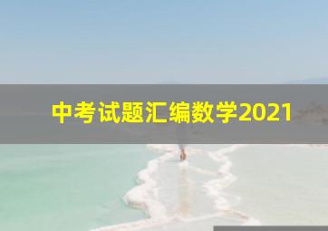 中考试题汇编数学2021