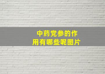 中药党参的作用有哪些呢图片