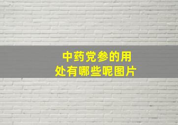 中药党参的用处有哪些呢图片