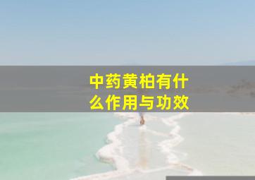 中药黄柏有什么作用与功效